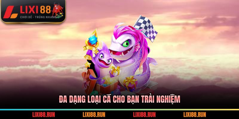 Đa dạng loại cá cho bạn trải nghiệm