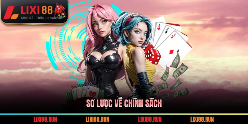 Sơ lược về chính sách