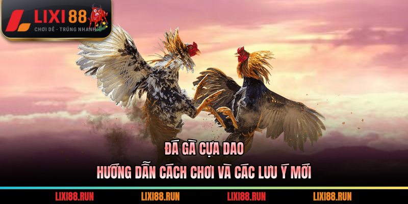 Đá Gà Cựa Dao - Hướng Dẫn Cách Chơi Và Các Lưu Ý Mới 1 đá gà cựa dao