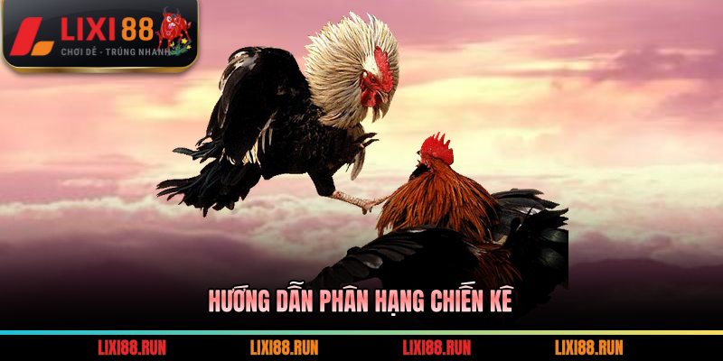 Hướng dẫn phân hạng chiến kê