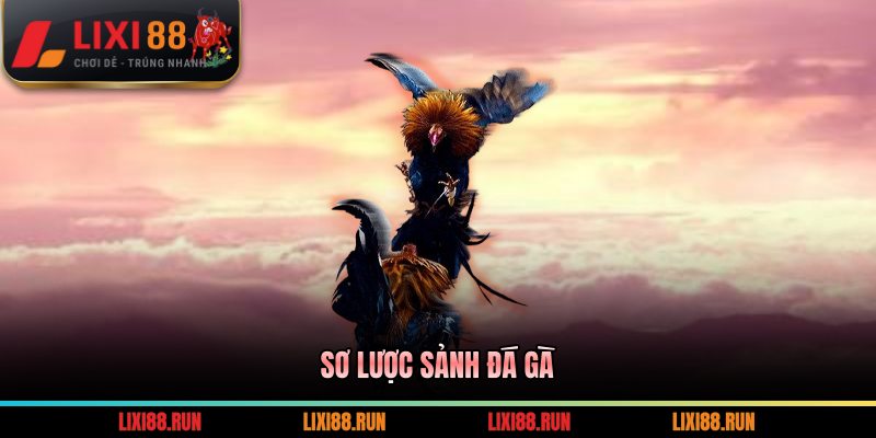 Sơ lược sảnh đá gà