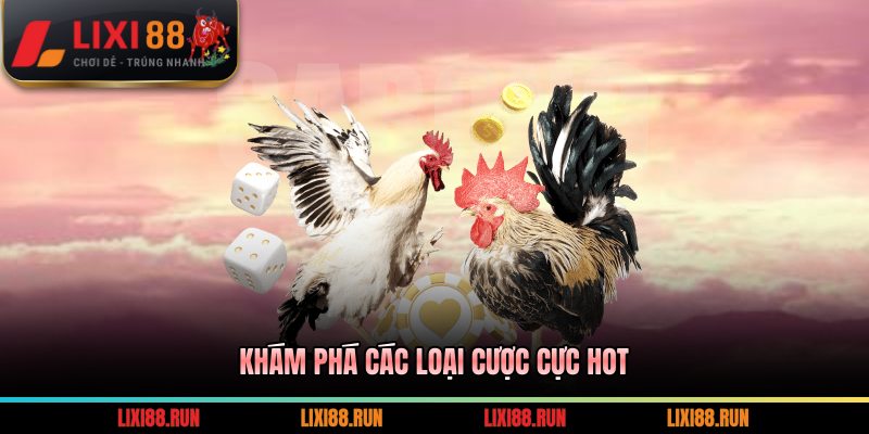 Khám phá các loại cược cực hot