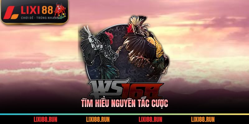 Tìm hiểu nguyên tắc cược